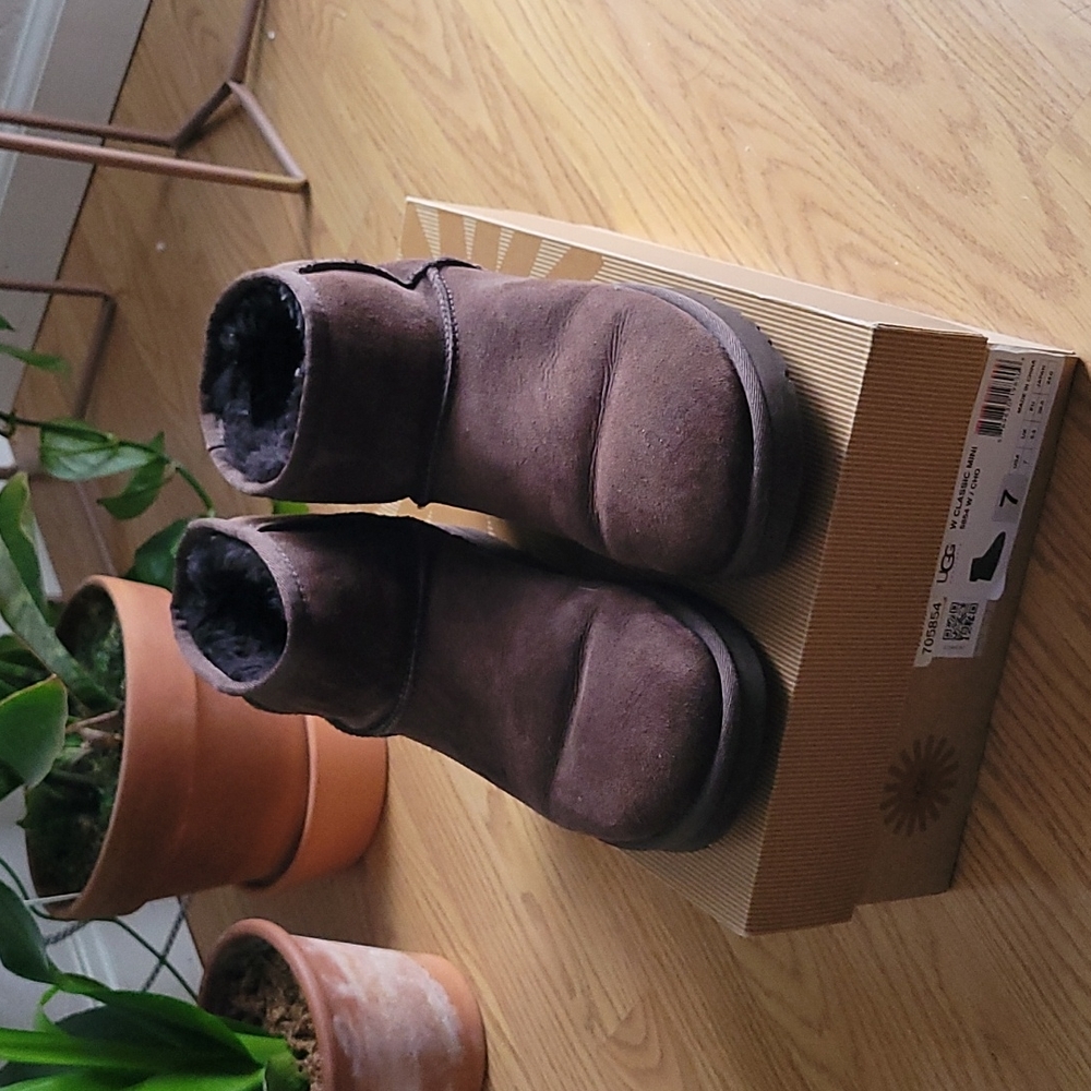 Women's Uggs